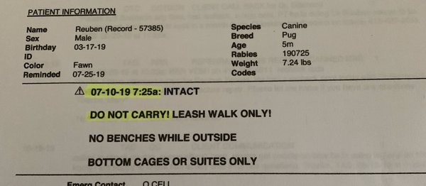 We took him to the kennel on 7/11/19. This note was written a day before. On 7/10/19. This specifically says Do not carry.