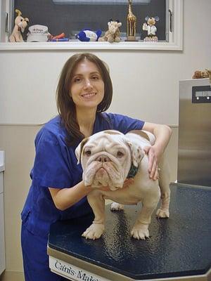 Livingston Animal Hospital