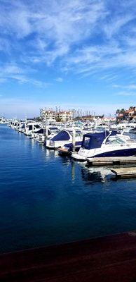 Peter's Landing Marina