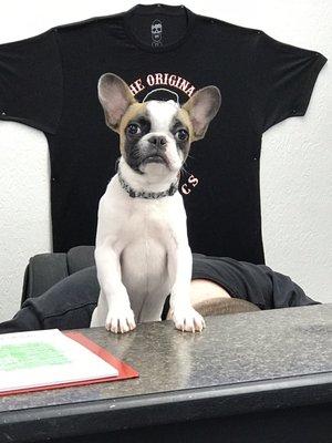 The guy behind the counter is super cool, too.