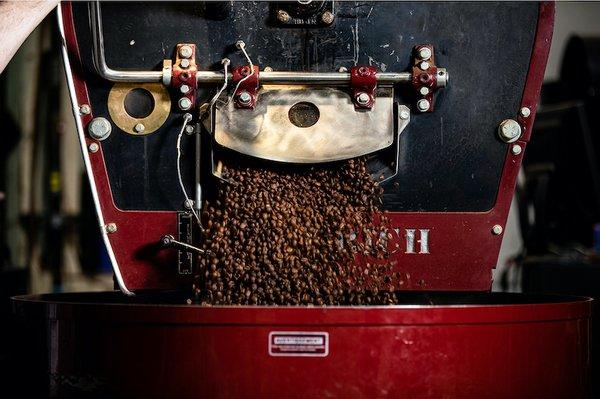 Freshly roasted coffee dropping into the cooling tray of our Diedrich IR-24.