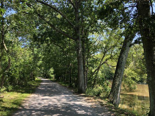 Shaded trees along the walking path.