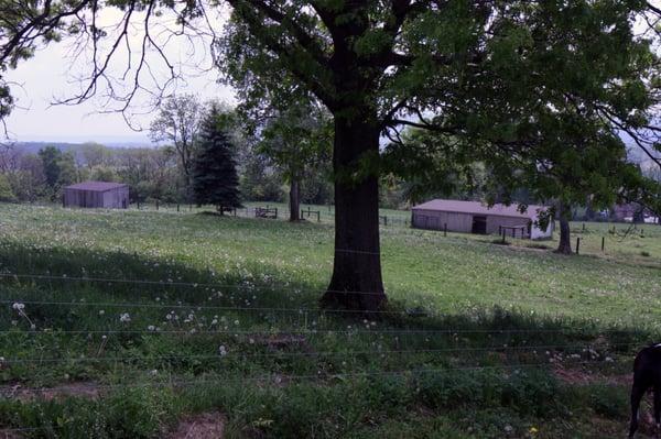 turn out sheds and field