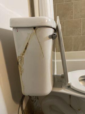 This is the condition of my toilet