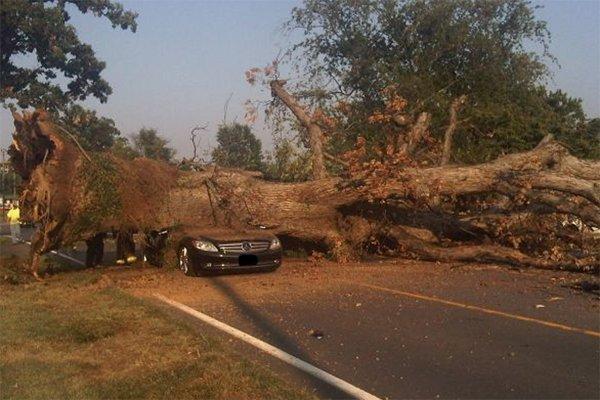 Remembering we are liable for our property and the damage it can spontaneously evoke unto others. (A moment of silence please...)