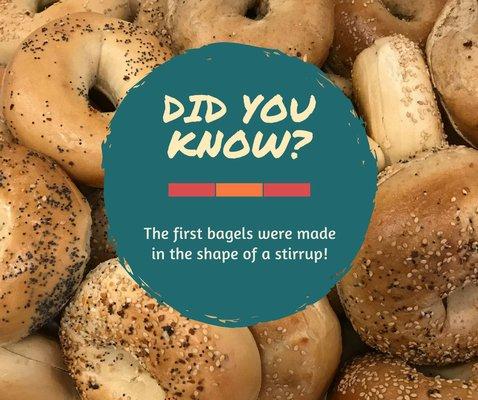 The first bagels were made in the shape of a stirrup, before transforming into the circular shape we see today. Giddy up and go order today!