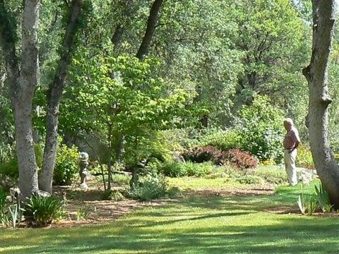 Our founder, Reed Severson, looking over his yard in Angels Camp, CA.  Reed started the brokerage in 1980 and is now retired.