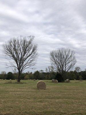 Spiro Mounds State Archaeological Site