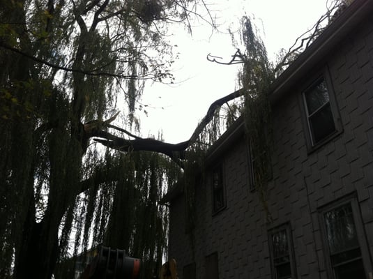 Removed storm damage from 3 story roof, in Jamaica Plain