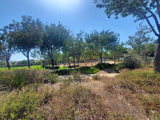 Park view toward playground equipment