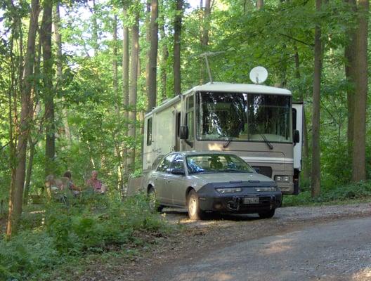 Large, wooded sites