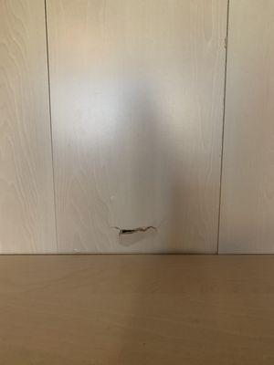 Gouged bookshelf