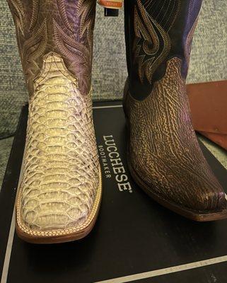 Roper python and shark skin Luchesse I purchased at JC