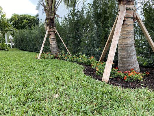 Tropical Gardens Landscape