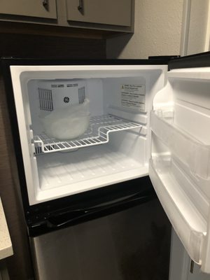 No icemaker; no ice trays, no ice bucket