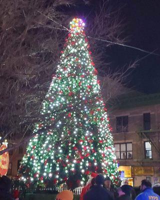 Tree Lighting at Our Lady of Perpetual Help Basilica.  60th street and 5th ave.