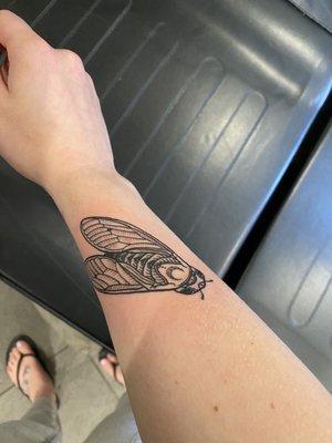 Cicada tattoo - Seth