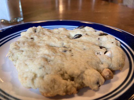 Blueberry scone. Absolutely delicious!