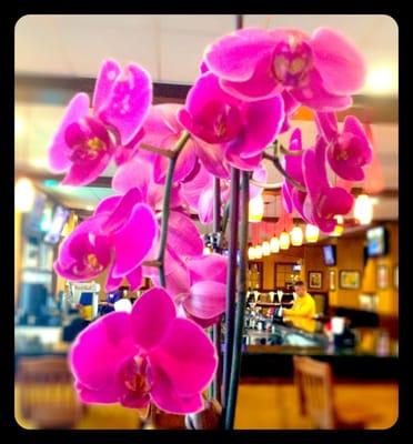 Beautiful orchids throughout the restaurant