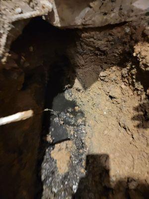 Repair broken sewer line in restaurant