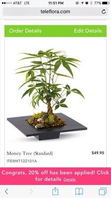 I ordered this money tree but a different plant was delivered... swipe for actual plant.