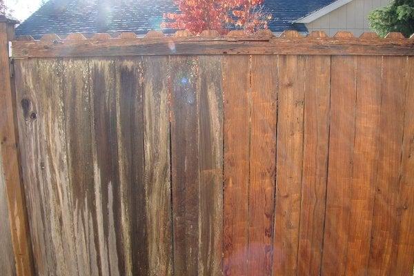 Fence Pressure Washing: Before and After