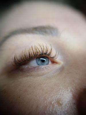 Brown classic lashes