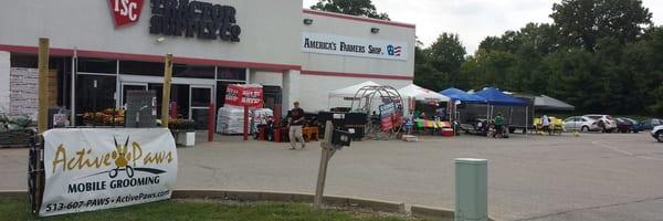 Active Paws at Tractor Supply's Dog Days