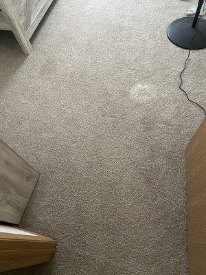 AAA Carpet Cleaning and Water Damage Restoration