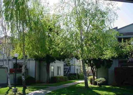 Beautifully landscaped grounds