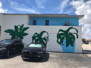 Rise Dispensary - Hallandale Beach