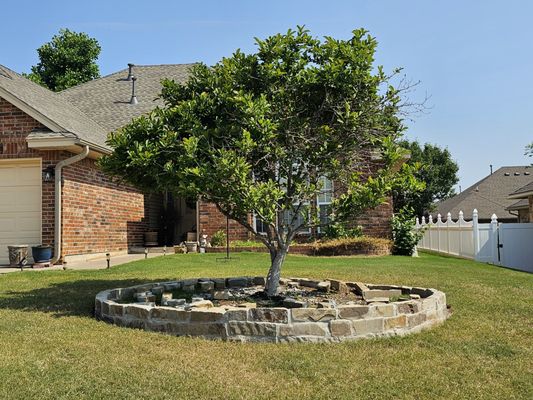 12' diameter mortared chopped stone tree ring