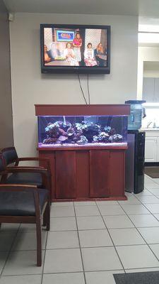 They got a cool fish tank inside the waiting area