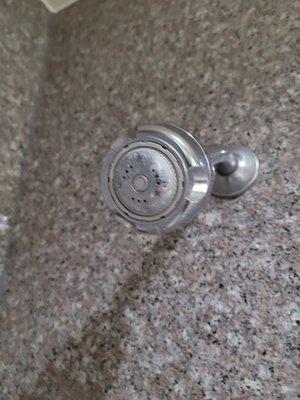 Gross shower head with barely any water coming out.