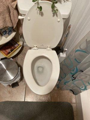 Toilet