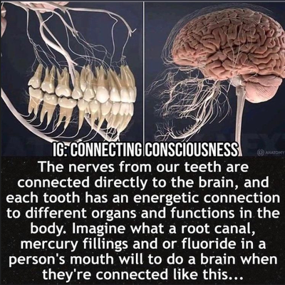 Your teeth connect everything with your health.