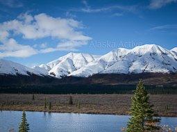 Alaska Active Tours LLC - Denali Range from Highway