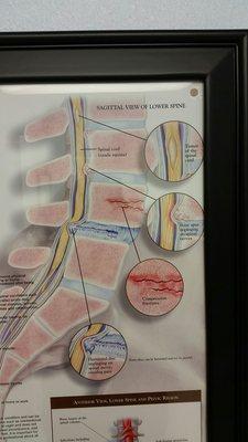 Neuroscience Center of Ventura County