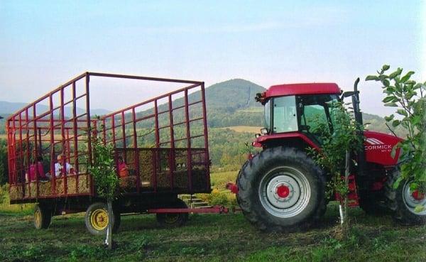 Hayride to the pumpkin patch