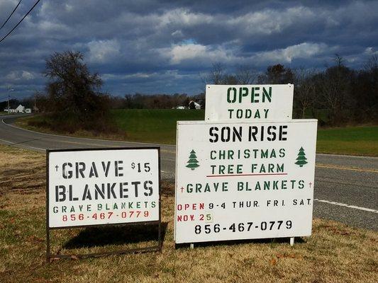 Son Rise Christmas Tree Farm