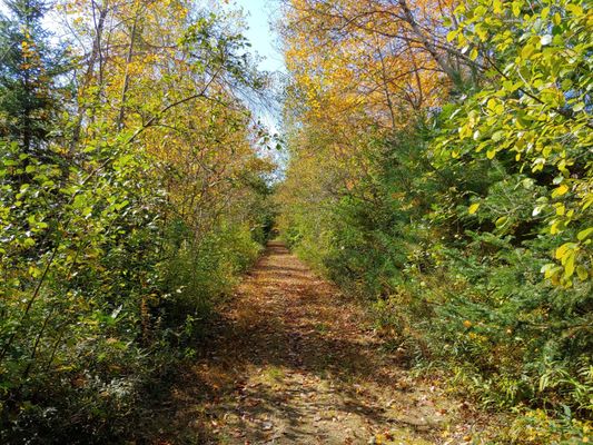 Trail to parking.