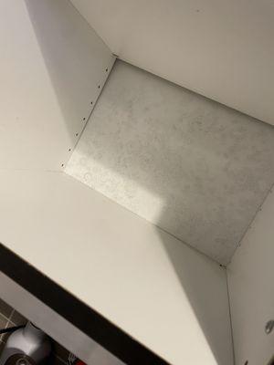 Mold in kitchen cabinets