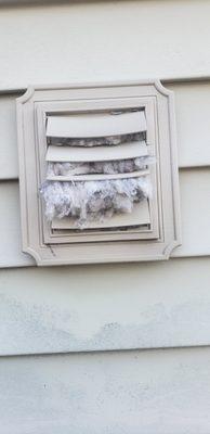 Dryer vent cleaning