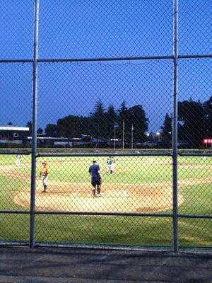 Little league ball under the lights