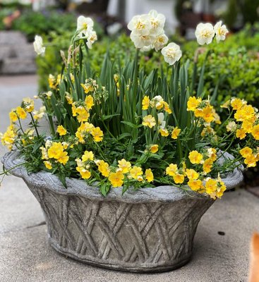 Oval Weave Planter