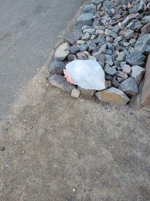 Bag of trash outside our cabin when we arrived.