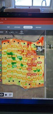 NDVI Map with Stand Count Report