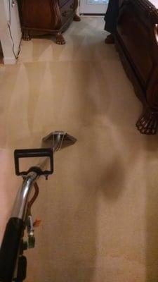 A Carpet Cleaning photo