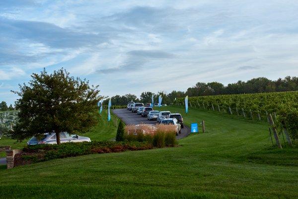 Lining up at Festival entrance at Anyela's Vineyards