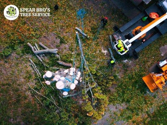 Tree-cutting service by Spear Bro's Tree Service